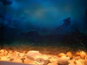 Video Of Antikythera Shipwreck Treasures