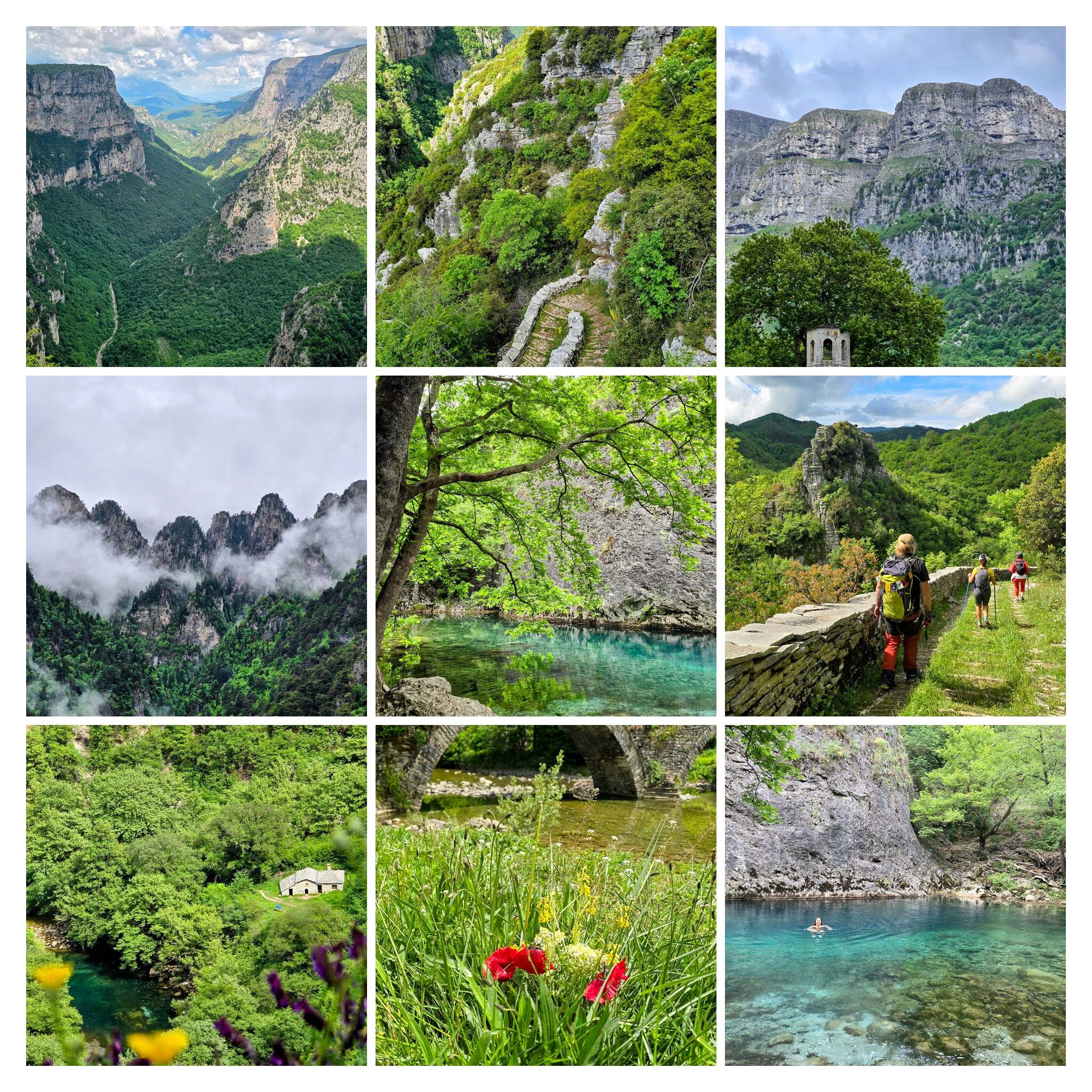 20250512 1111312 COLLAGE 2