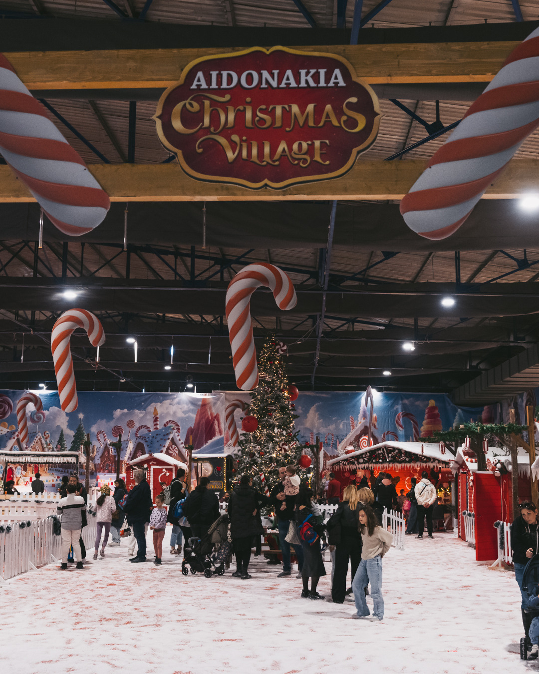 593603244 1188527270081281 7298307478340804556 n 2 2