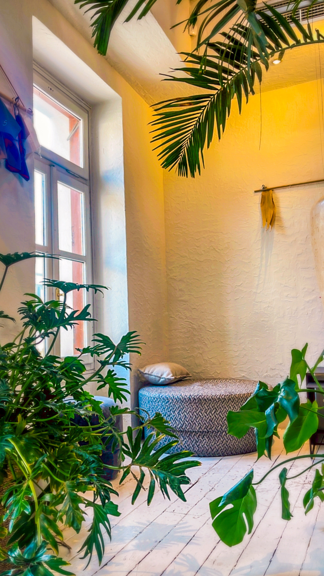 9C96390F C34F 4326 9CCA 3E1EEDCDDEC7