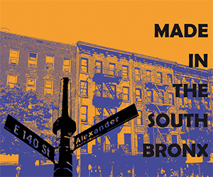 MadeInTheSouthBronx300x250GIF