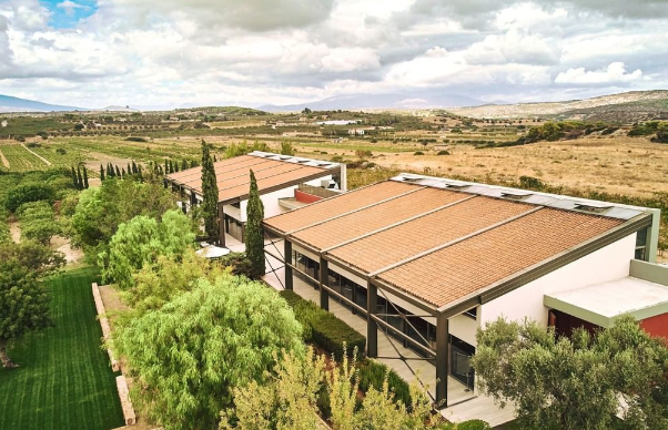4 Vineyards To Explore In Athens XpatAthens 4 Vineyards To Explore In Athens XpatAthens