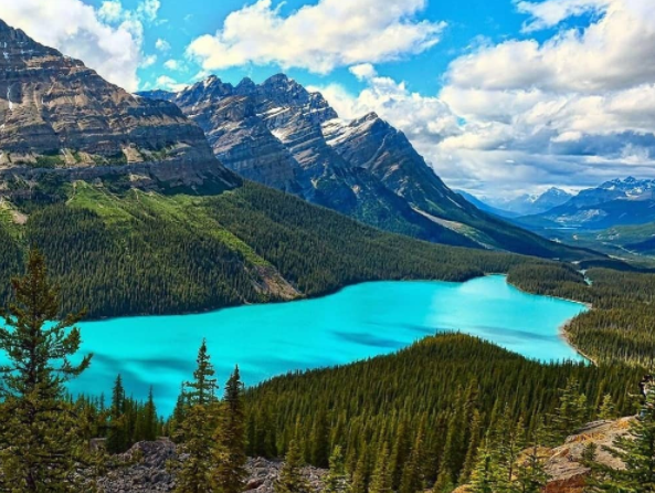 Peyto Lake