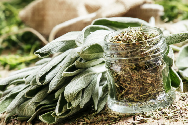 Dried sage in a glass jar, fresh sage on the vintage wooden table, preparation of medicinal herbs drying, selective focus (Dried sage in a glass jar, fresh sage on the vintage wooden table, preparation of medicinal herbs drying, selective focus, ASCII