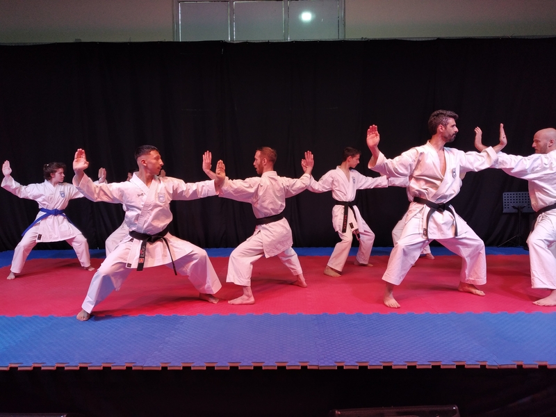 Shotokan Fudokan Karate Do by Sensei Mastrapas 2 2