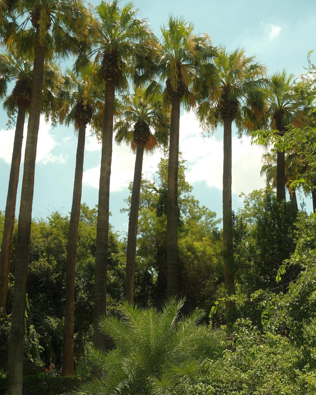 SnapInsta Ai 2920627997442654081