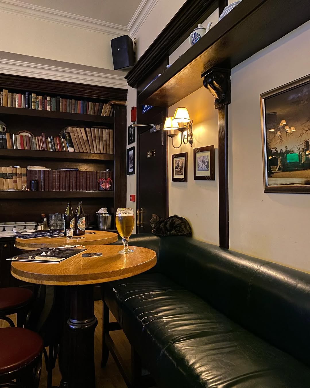 SnapInsta Ai 3295607497911529917