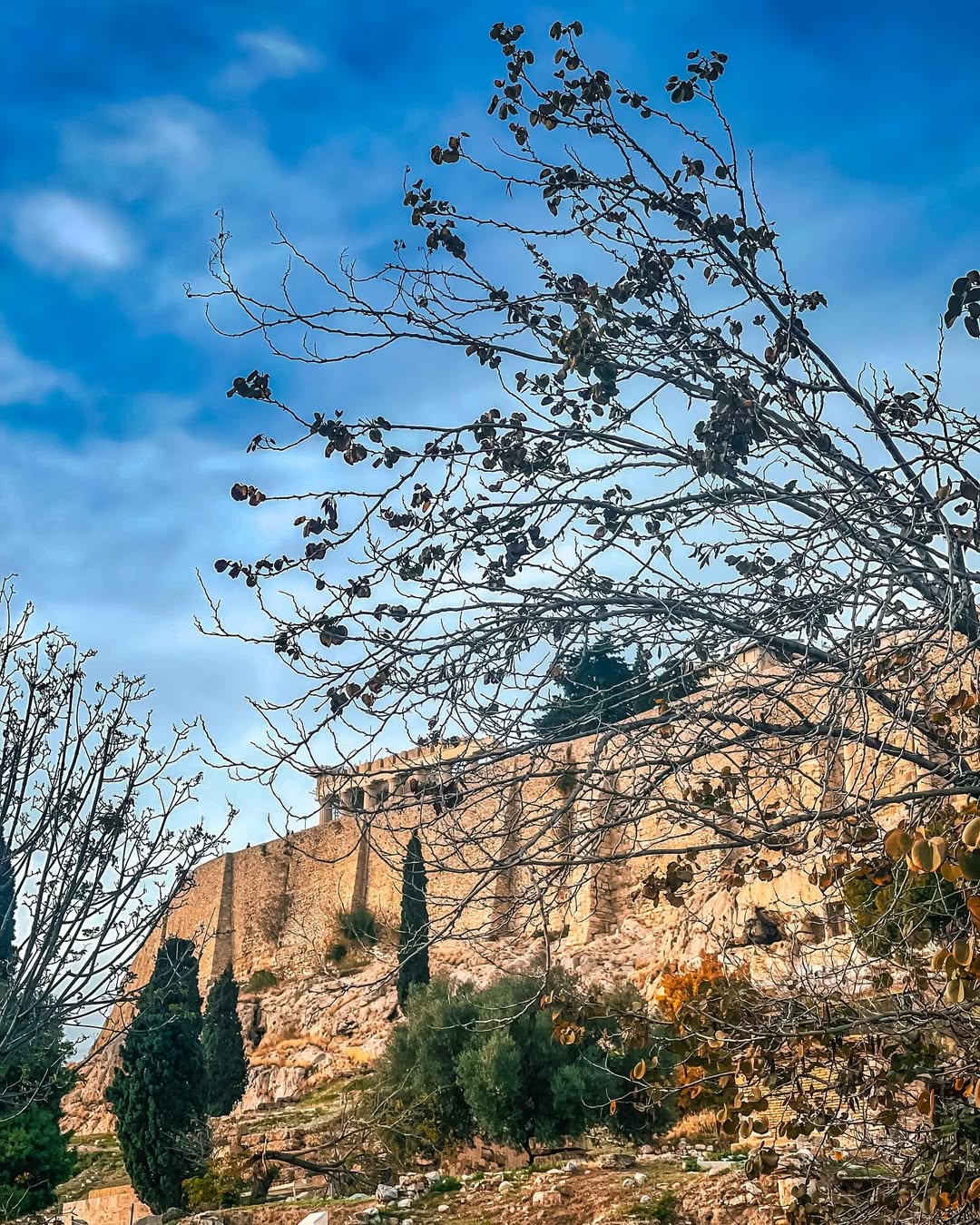 SnapInsta Ai 3525856986534846088