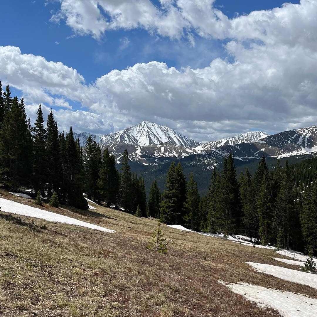 SnapInsta.to 289704368 1259005954839691 8996270624004559458 n