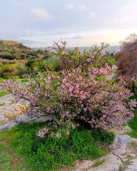 SnapInsta.to 482671167 18493841221057708 6787034024841858236 n