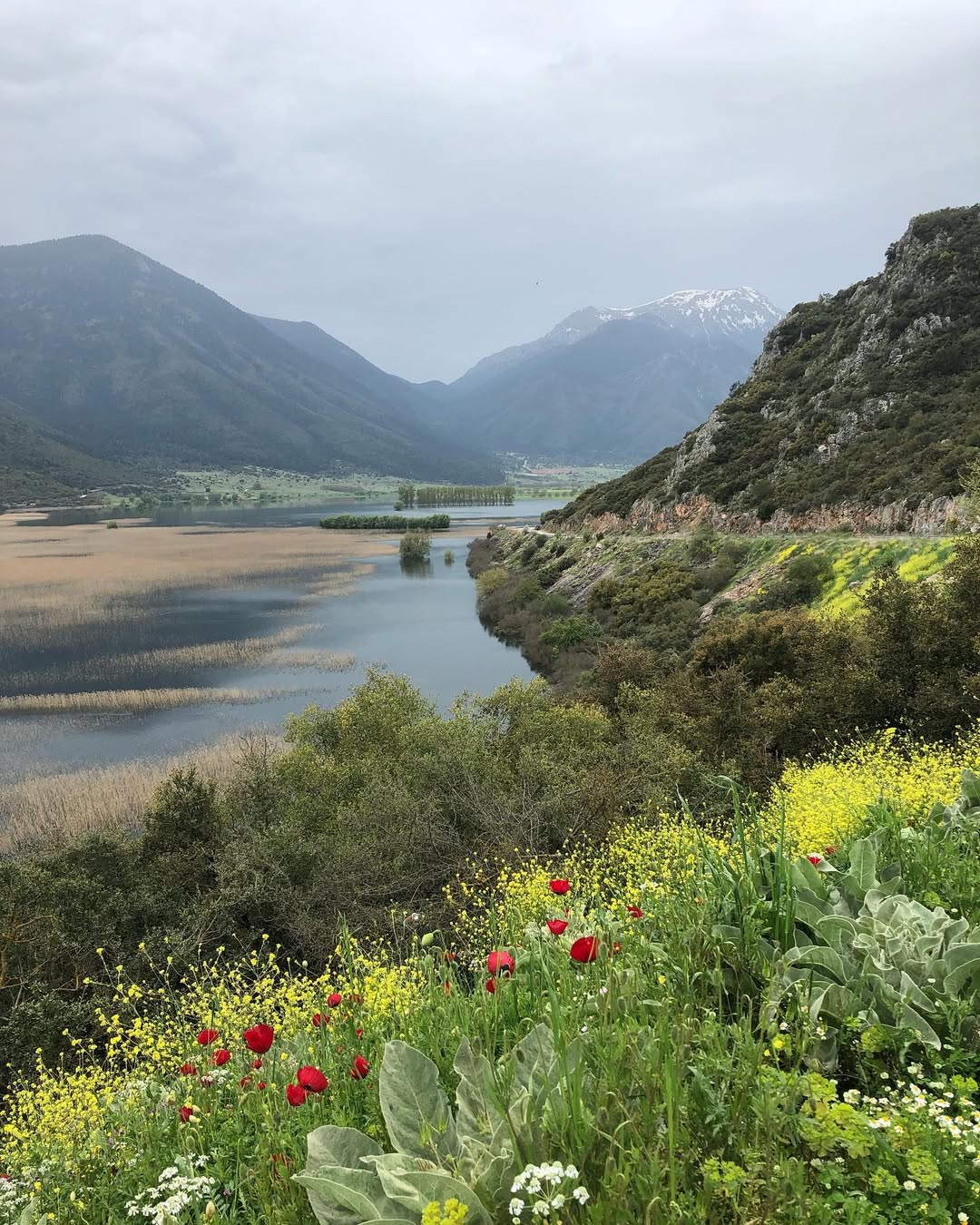 SnapInsta.to 57511888 414936682389761 8652524808454380600 n