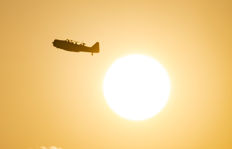 T 6 Harvard 2