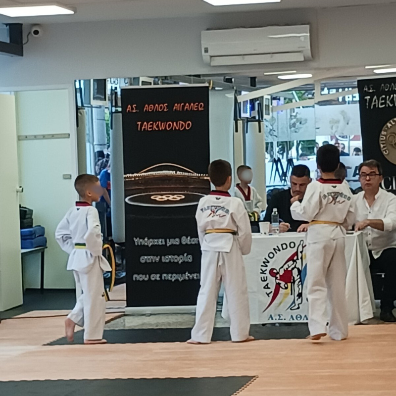 Tae Kwon Do