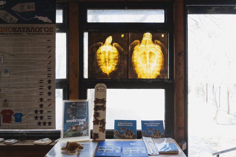 arxelon glyfada 7