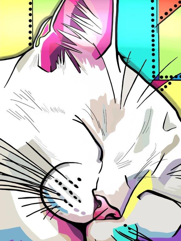 cat