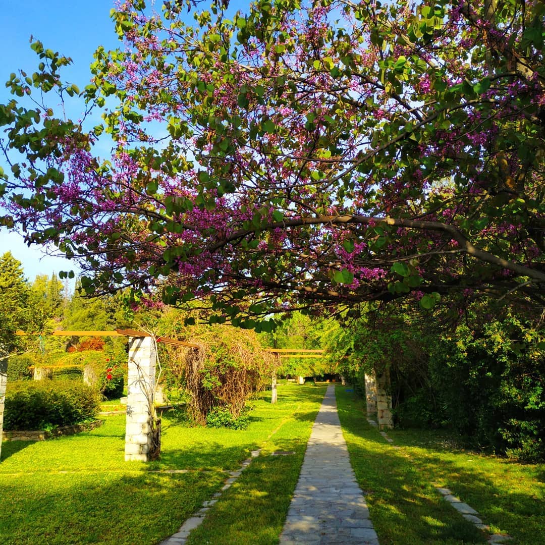 diomedes botanical garden