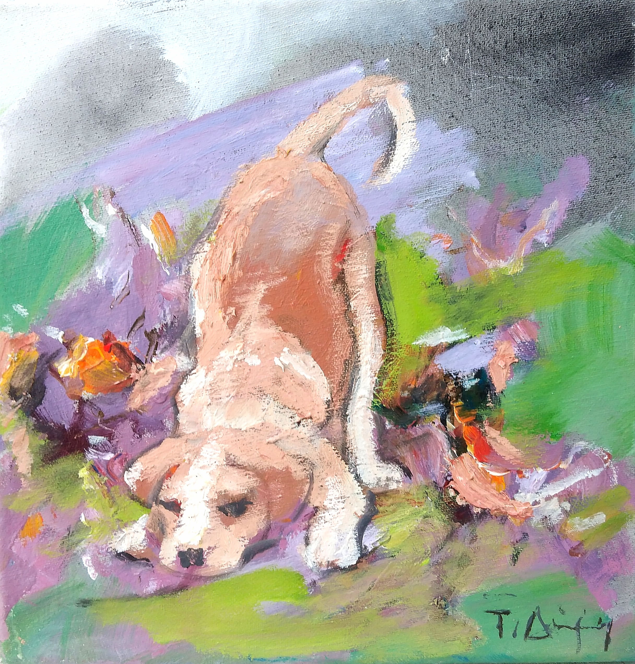 dog