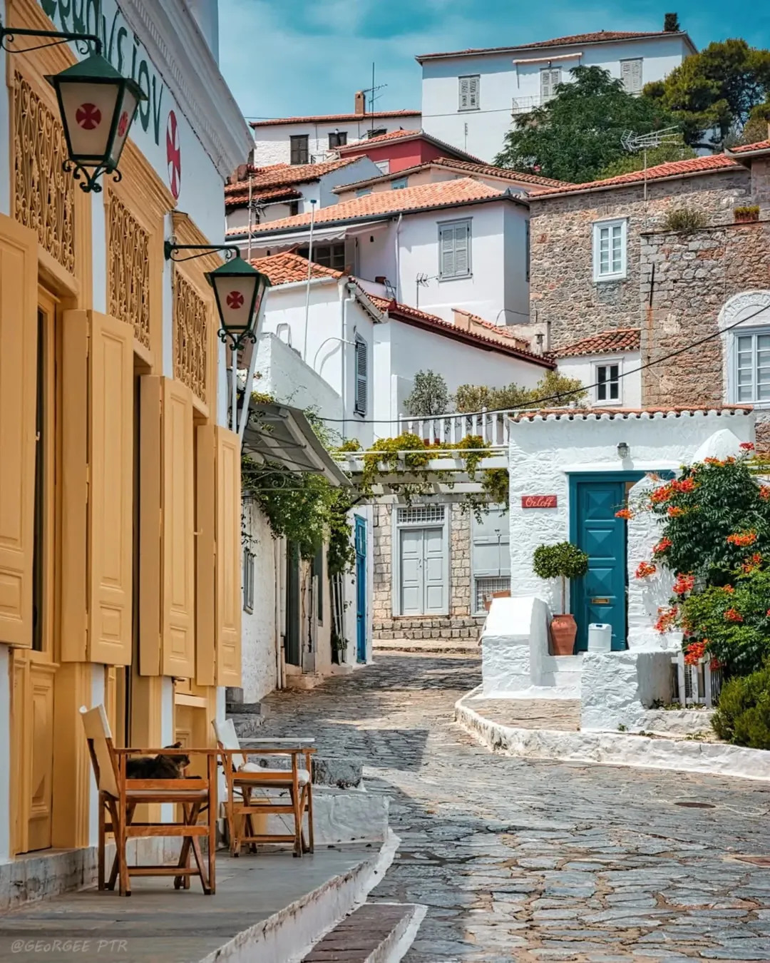 hydra