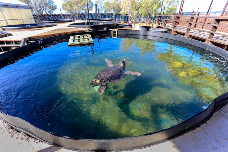 rescue centre