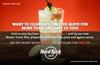 Cinco De Mayo Celebration