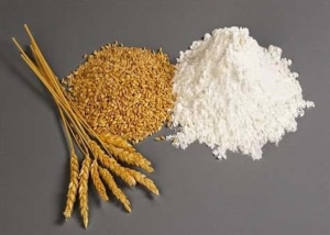 Zea - The Main Grain Of The Ancient Greeks&#039; Diet