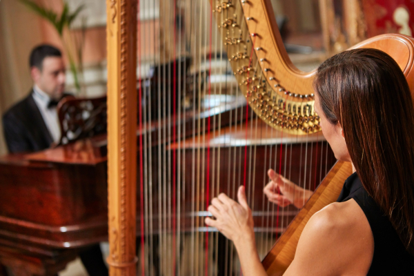 Harp Tunes At The Winter Garden Of Hotel GB