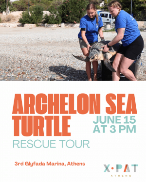 XpatAthens Visits The ARCHELON Sea Turtle Rescue Centre