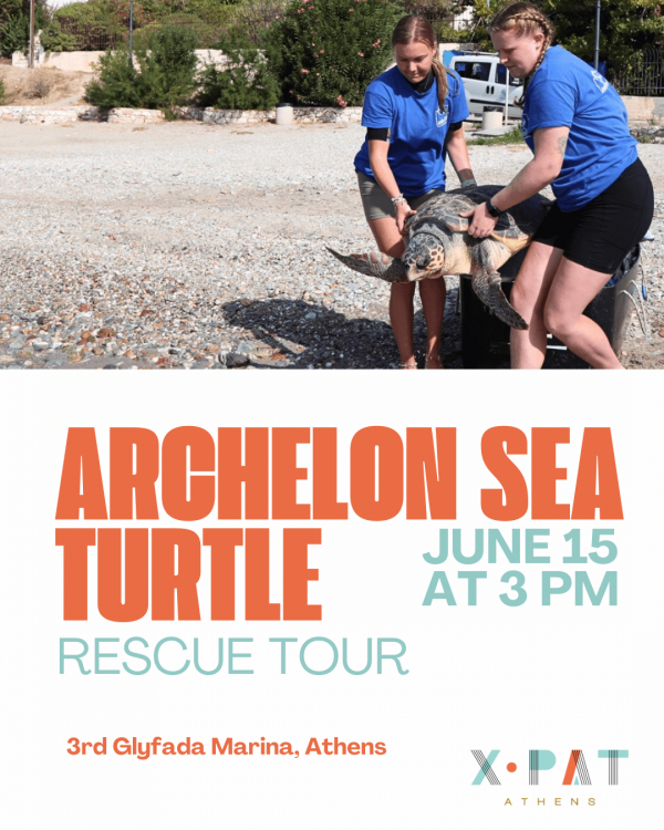 XpatAthens Visits The ARCHELON Sea Turtle Rescue Centre