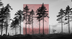 Athens Photo Festival 2020 ~ Open Call For Artists &amp; Photographers
