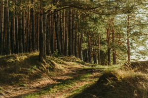 Greece To Ban Development In Mountain Areas To Protect Habitats