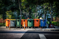 What Is The Green City Program & How To Participate