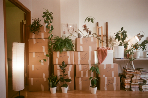 Moving Made Easy: Pro Tips From Experienced Movers