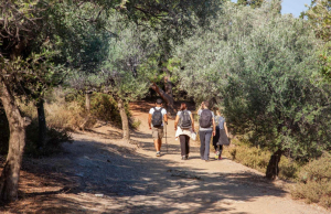 5 Scenic Hikes Around Athens