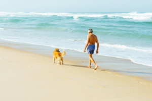 Dogs on Beaches in Greece: Rules, Pet-Friendly Spots &amp; Laws for Summer