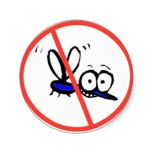 Prepare Your Own Natural Homemade Mosquito Repellent