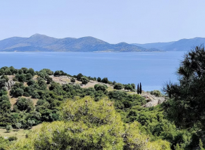 Day Trips In Athens With Nefeli Nine