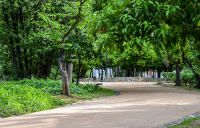 The National Garden Of Athens Regains Its Former Glory