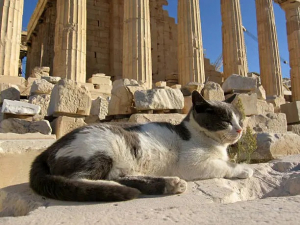 Spend The Coziest Day In Athens