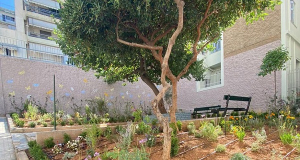 The Pocket Parks Of Athens - A Great Way To Tackle Pollution