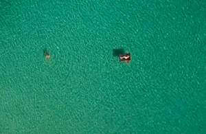 Living Postcards From Greece