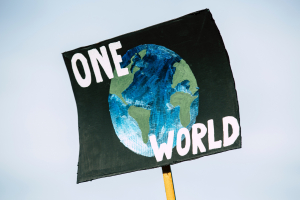 Things You Can Do About Climate Change