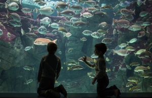 Two Crete Aquariums Among Best In World