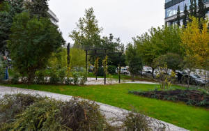 The First Japanese Park Of Athens Opens Its Gates