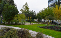 The First Japanese Park Of Athens Opens Its Gates