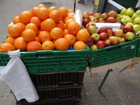 Plastic Bags In Greece Will Cost 4 Cents As Of January 1, 2018