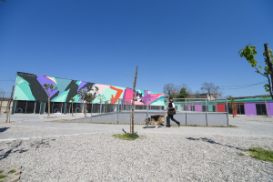 The City Of Athens Launches Its First Modern Stray Animal Shelter