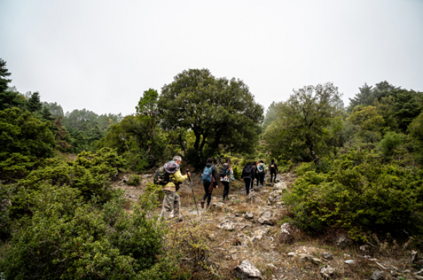 Hiking Mt. Parnitha