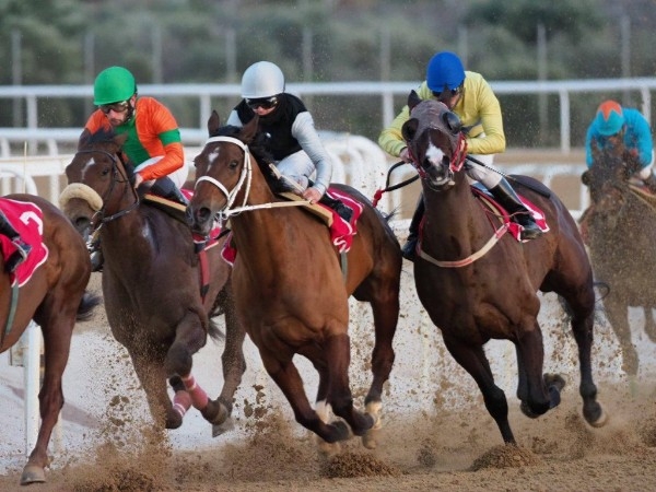 Greek-Irish Society ~ Horse Racing Activities For Children