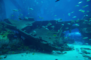 Mystery Shipwreck Discovered Off Kythnos Island