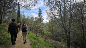 Sunday February 15th | A Scenic Hike On Mount Ymittos